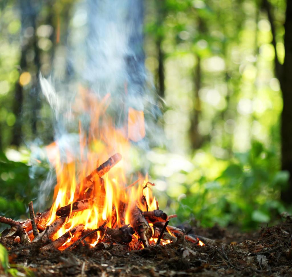 JONG-GIDSEN 6 oktober: Als echte scoutsgirls voelen we ons helemaal thuis in het bos. Om 13u30 spreken we allemaal af aan het lokaal mét onze fiets! De activiteit is om 16u30 weer gedaan.