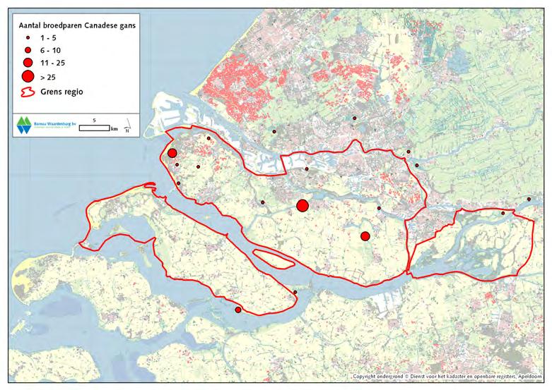 Figuur 3.12 Verspreiding van territoriale (broedparen) Canadese ganzen in de Noordelijke Delta in 2005 (Voslamber 2005).