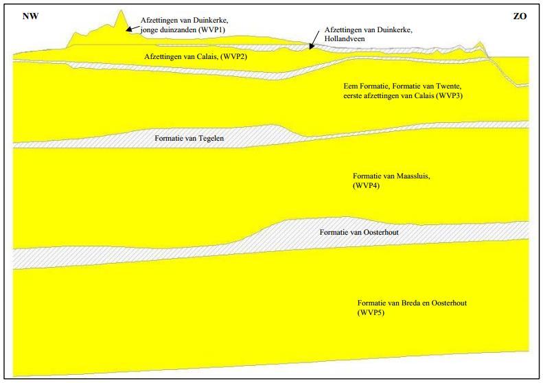 Noordzee NAP polder -150 m Figuur 3 Geohydrologisch profiel Kop van Schouwen (grondwatermodelstudie Kop van Schouwen, 2005, Royal Haskoning) De grondwaterstand in het gebied is erg dynamisch: In de