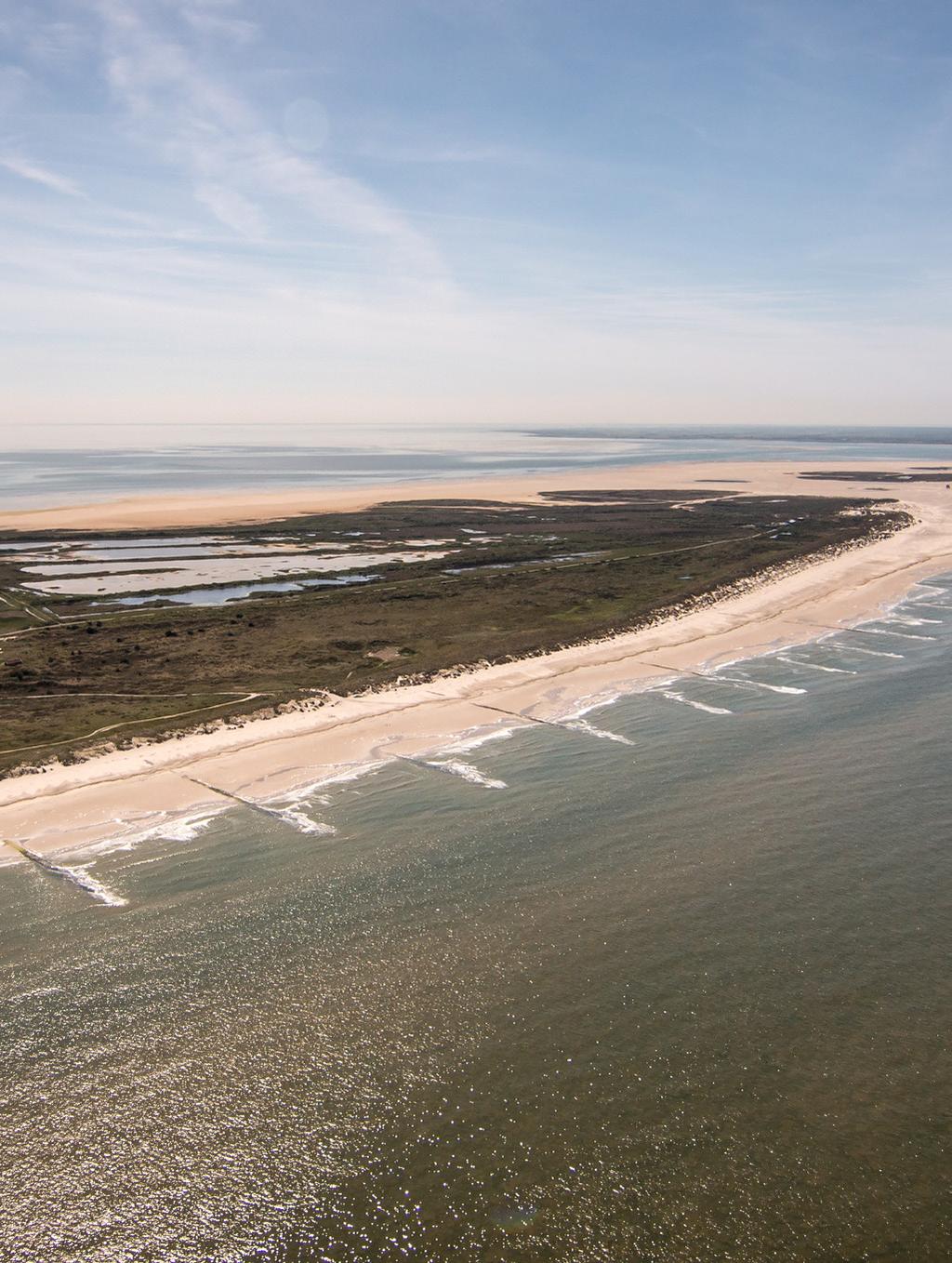 Met de DCC wordt er een beweging in gang gezet om de Nederlandse kustlijnzorg duurzamer en efficiënter uit te voeren. Het project Innovaties in de kustlijnzorg is een van de vijf sporen van de DCC.