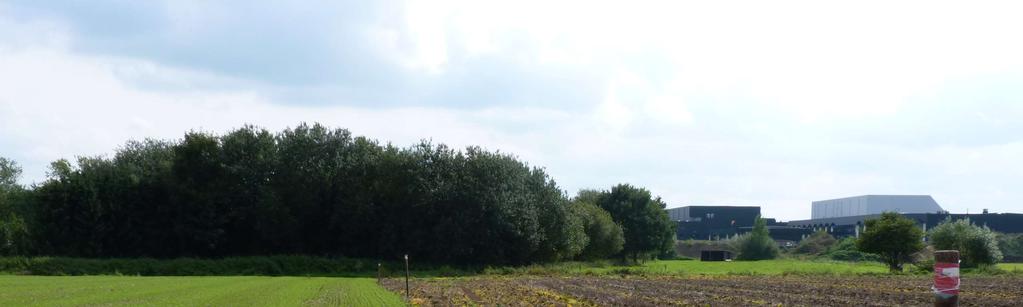 Beekhoek 3 percelen ongeveer 2