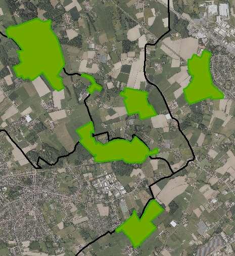 Habitatrichtlijn bossen Zeer waardevolle Ferrarisbossen Unieke en rijke flora.