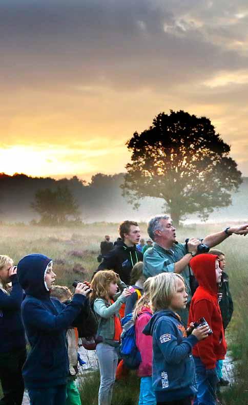 Waarom op de Veluwe? Inzichten uit onderzoek delen Baanbrekend archeologisch onderzoek van de Universiteit Leiden in de afgelopen tien jaar heeft heel veel nieuwe kennis en inzichten opgeleverd.