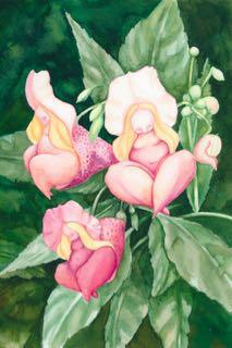 uk/artists/anouk-maria-van-deursen/ Slapende roze
