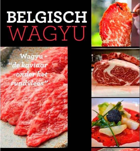 Mag het tijdens de feestdagen dat tikkeltje extra zijn? Probeer dan ons Belgisch Wagyu rundvlees.