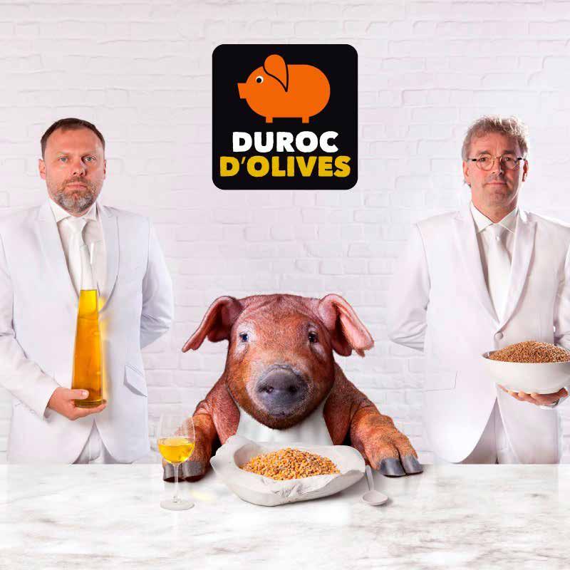 Het Duroc varken: een ras apart Wat is er nu zo speciaal aan Duroc d Olives varkensvlees? De sublieme smaak en malsheid wordt gecreëerd door het graan en de olijven in hun voeding.