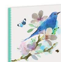 agenda s colibri