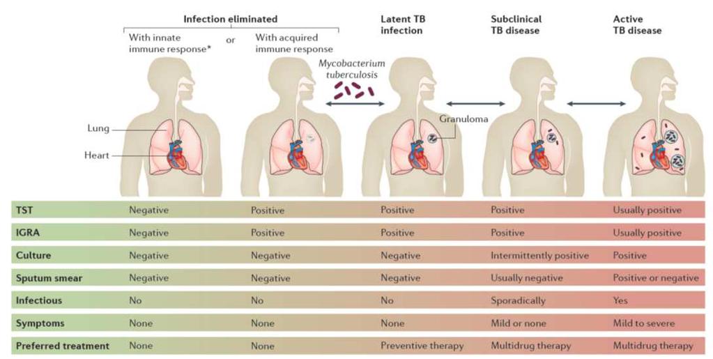 TB spectrum Pai et al. Nature Reviews. Disease Primer.