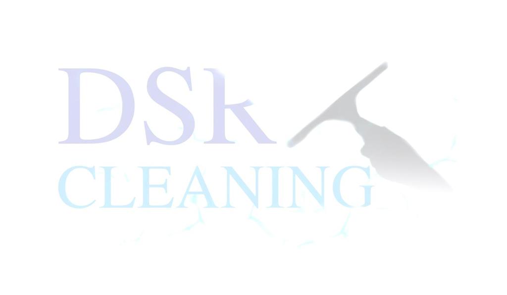 1 Gebruiker algemene voorwaarden, nader te noemen: DSR Cleaning. 1.