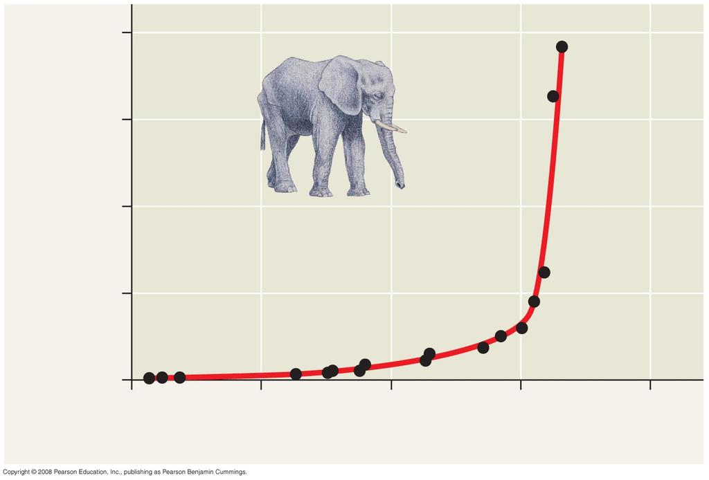 Exponential growth: