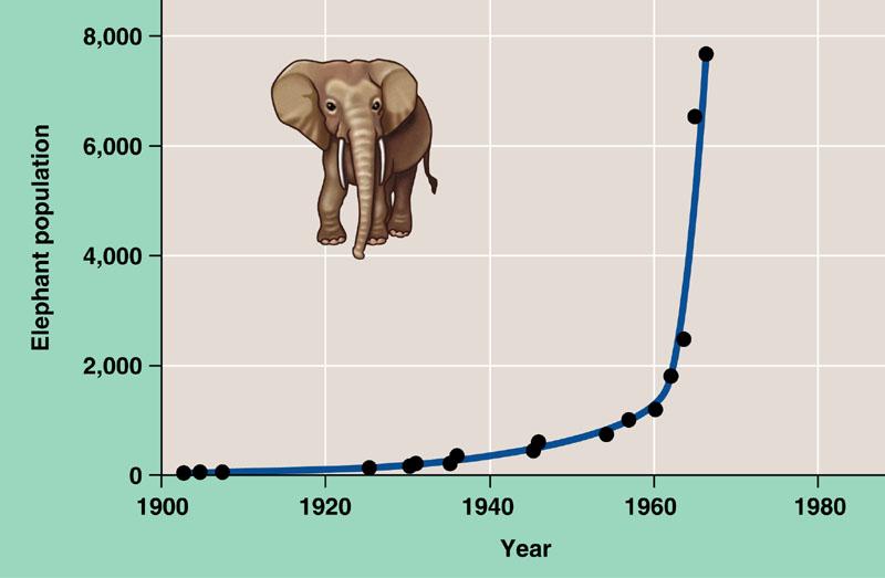 Elephant population 6,000 4,000