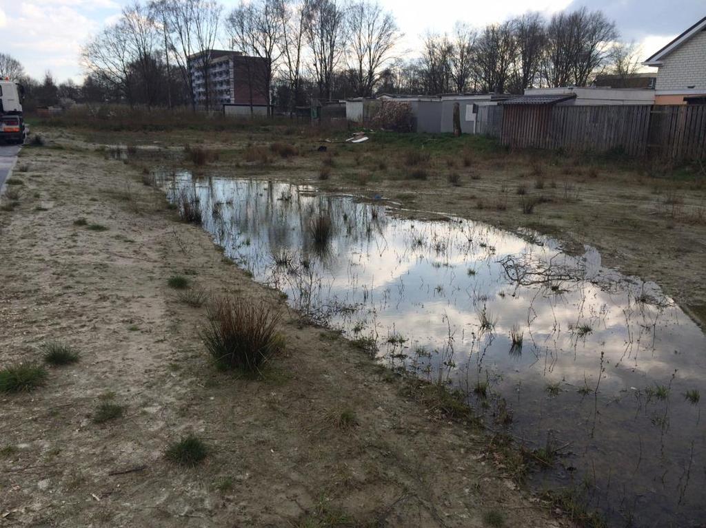 2 FLORA EN FAUNA OP DE LOCATIE: POTENTIES, EFFECTEN EN VERVOLG In de paragrafen 2.1 tot en met 2.