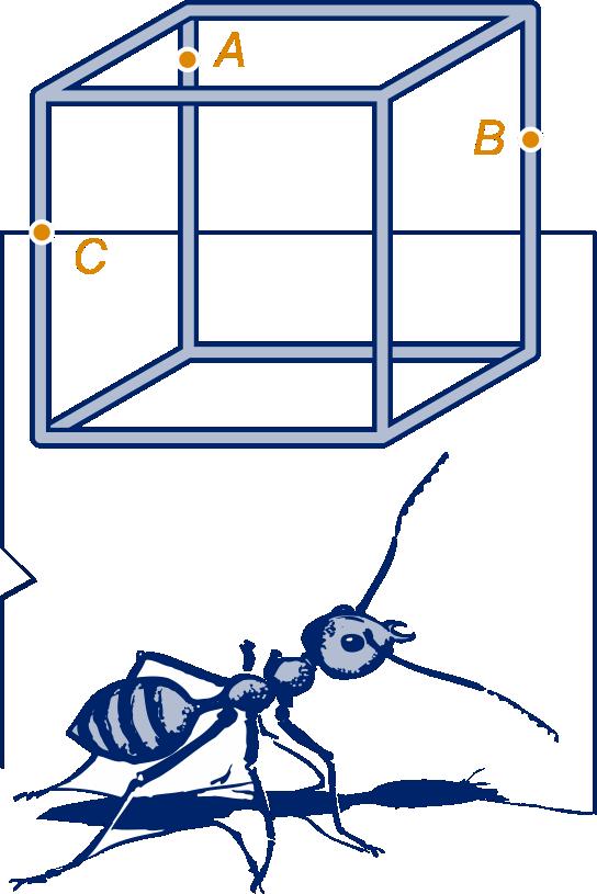 2.2 Onderlinge ligging 24 Een staafjeskubus staat op tafel. A, B en C zijn drie punten op ribben van de kubus. Een mier loopt in een rechte lijn over het tafelblad.