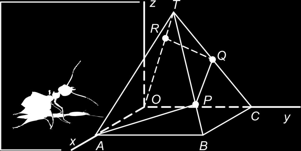 2.7 Extra opgaven 1 ABCO.T is een regelmatige piramide met hoogte 8 en een grondvlak met zijde 8. Een mier kruipt over zijvlakken van de piramide omhoog. Zijn route is A P Q R T.