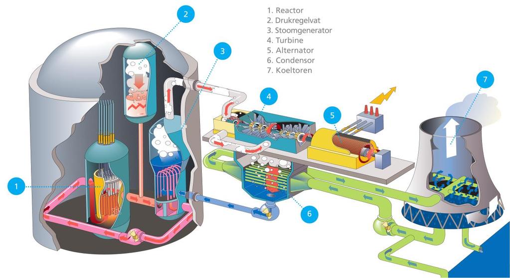 7. Exploitant A-object Figuur 18: Vereenvoudigd productieproces PWRcentrale 15 Afgeschermd door staal en beton bevindt zich in het hart van een kernenergiecentrale de " reactor" (1).