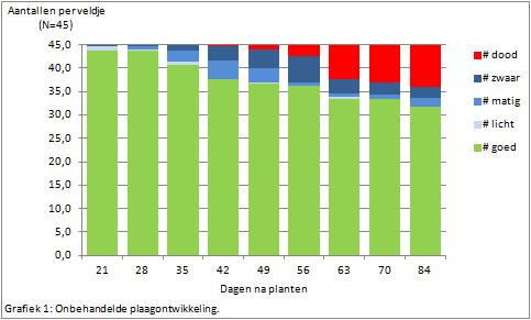 3.1 Plaag ontwikkeling De ontwikkeling van de infectie in de onbehandelde veldjes is weergegeven in grafiek 1. Gedurende de proef werd de aantasting in de onbehandelde veldjes langzaam zichtbaar.