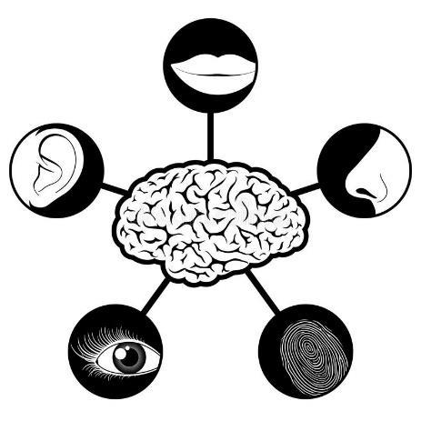 Inhoud inleiding verzorging is veel meer dan proper maken en calorieën toedienen multi-sensoriële