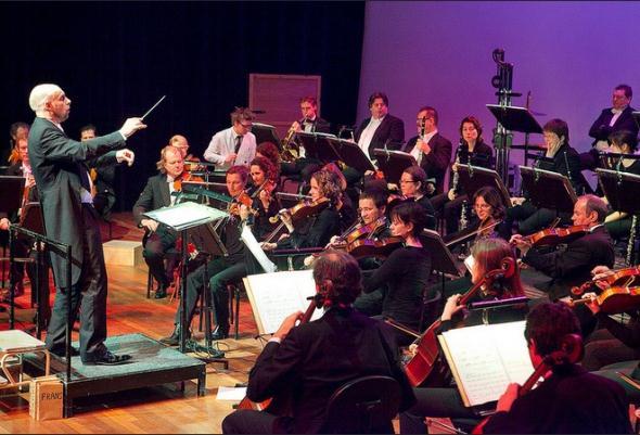 Ik vond de muziek mooi. De instrumenten waren een viool, een hobo, trommel. Er was een dirigent en er was een professor die niet kon werken door alle muziek.