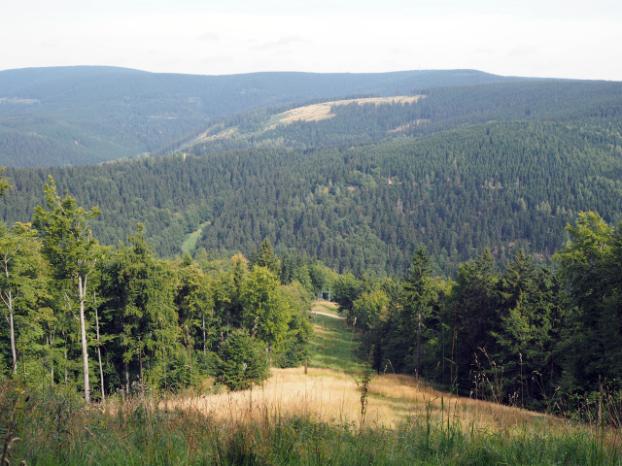 punt van de weg, op 828m hoogte bij de bergtop Salzberg. Vanuit Suhl rechts en vanuit Schmiedefeld links van de weg. (Navigatie: Schmiedefeld am Rennsteig, Suhler Strasse. Coördinaten 10.765554/50.