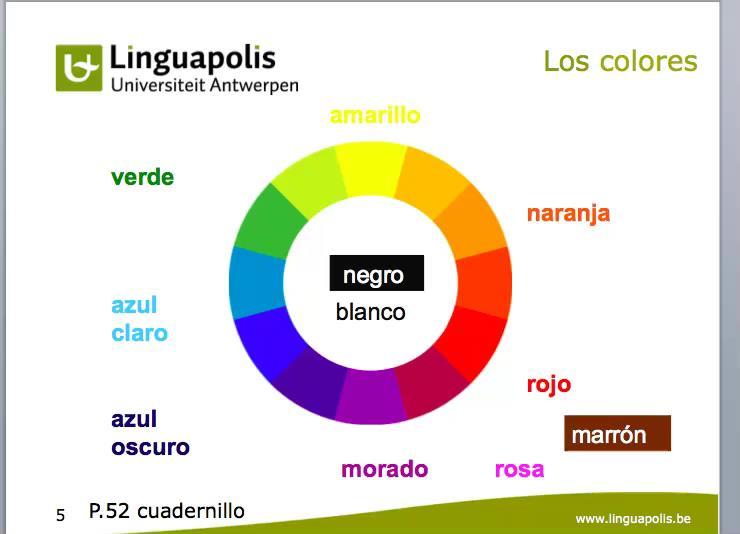 Ana López San Emeterio Taalverantwoordelijke Spaans: - Into flipping (Universiteit Hasselt en Linguapolis) - Workshop gegeven