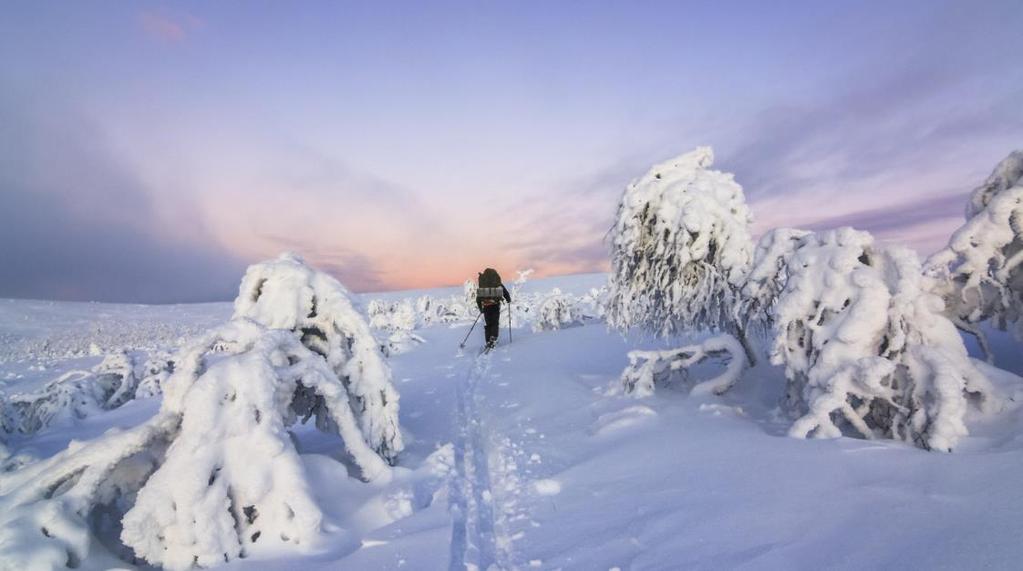 De bestemming Saariselkä Gelegen in het noorden van Fins Lapland, zo n 260 km ten noorden van Rovaniemi (en de poolcirkel).