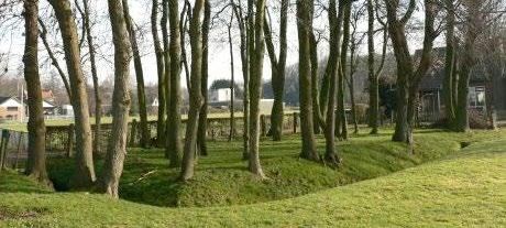 Leibomen voor de boerderijgevel in West-Friesland Leibomen voor de boerderijgevel in de