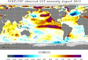 (CO 2 ) (+30%) Ozon (O 3 ) (?