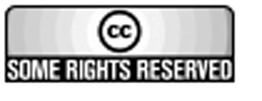 2007 DANS en CBS Sommige rechten voorbehouden / Some rights reserved.