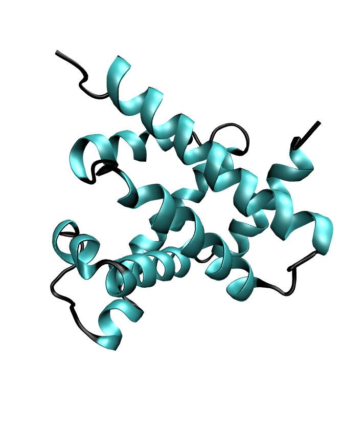 162 Figuur 1: De ruimtelijke structuur van de eiwitten myoglobine en concanavalin A. Myoglobine transporteert zuurstof in de spieren van dieren en mensen, en bevat veel α-helices.