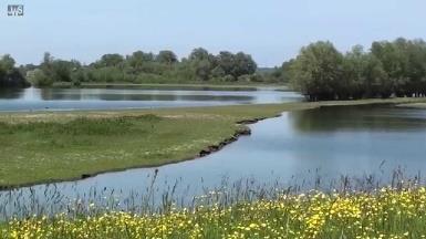 Veel Moderne Devoten hebben grote invloed gehad op de ontwikkeling van ons land, toch zijn ze maar bij weinig mensen bekend.