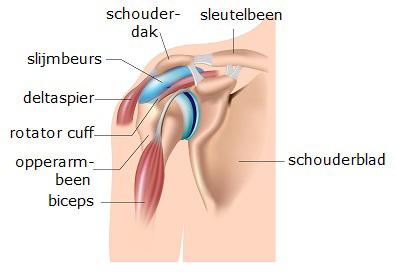 1. Inleiding Graag duiden wij u op het belang van goede informatie in verband met de operatie aan uw schoudergewricht. Wij raden u dan ook ten zeerste aan deze folder grondig door te nemen.