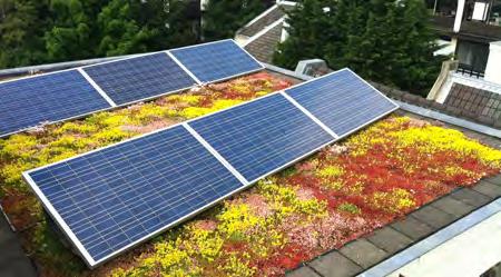 Hoe: groene daken voorkomen opwarming in de zomer en daarnaast afkoeling in de wintermaanden. Aanleg groene daken in combinatie met aanleg zonnepanelen.