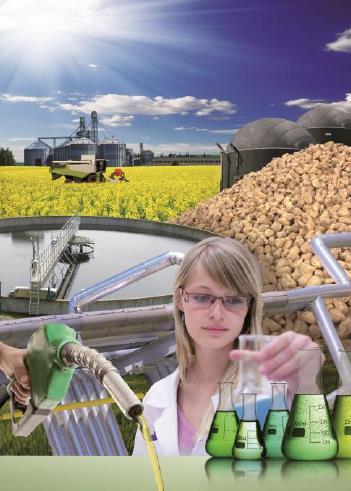 Biobased Economy als onderdeel van een duurzame