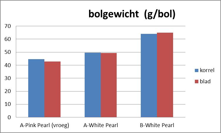 Figuur 2. De bolgewichten (g/bol) van 3 partijen na korrel- of bladstikstofbemesting op 2 locaties (A en B) in de praktijk in 2009.