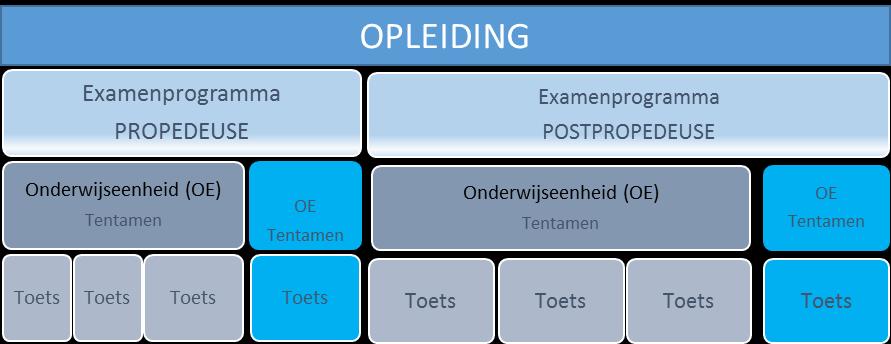 pagina 31 van 43 Examenprogramma Een opleiding is een samenhangend geheel van onderwijseenheden. Het examenprogramma bestaat uit een geheel van de tentamens van de onderwijseenheden van een opleiding.