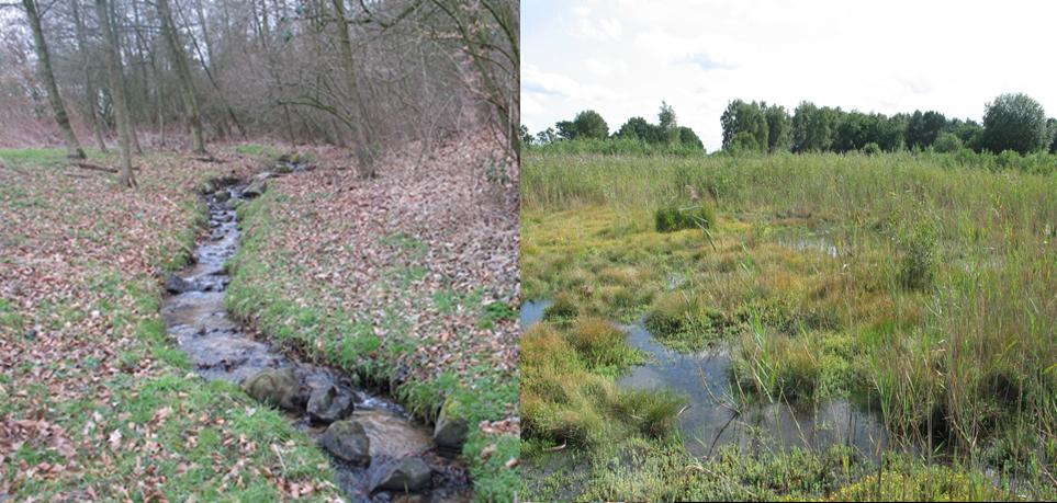 Afbeelding 3: Heuvelland- versus doorstroommoeraskarakter van laaglandbeek-bovenlopen in Nederland.