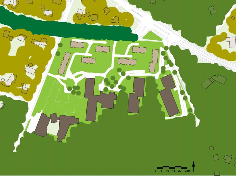 Analyse plangebied groenzones Hoge bomen omringen het