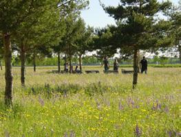 uitgangspunt is een gesloten grondbalans sfeerbeeld landschapsstroken netwerken van