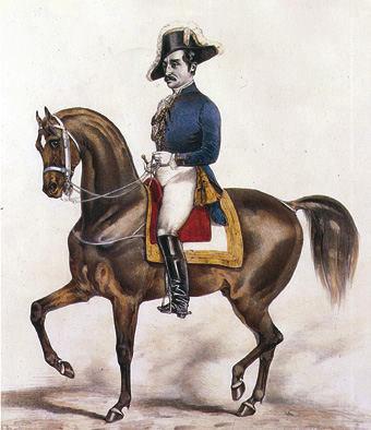 Als geen andere generaal in de geschiedenis heeft Napoleon in zijn oorlogen de toenmalige (barokke) rijpaarden er met miljoenen doorheen gejaagd.