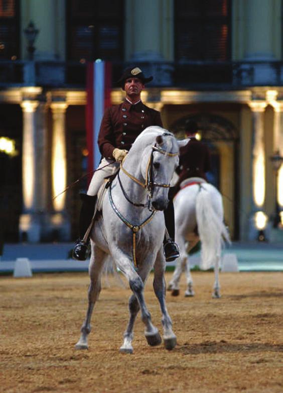 Dit Napolitiaanse paard is in sommige rassen nog vertegenwoordigd maar bestaat als ras niet meer.