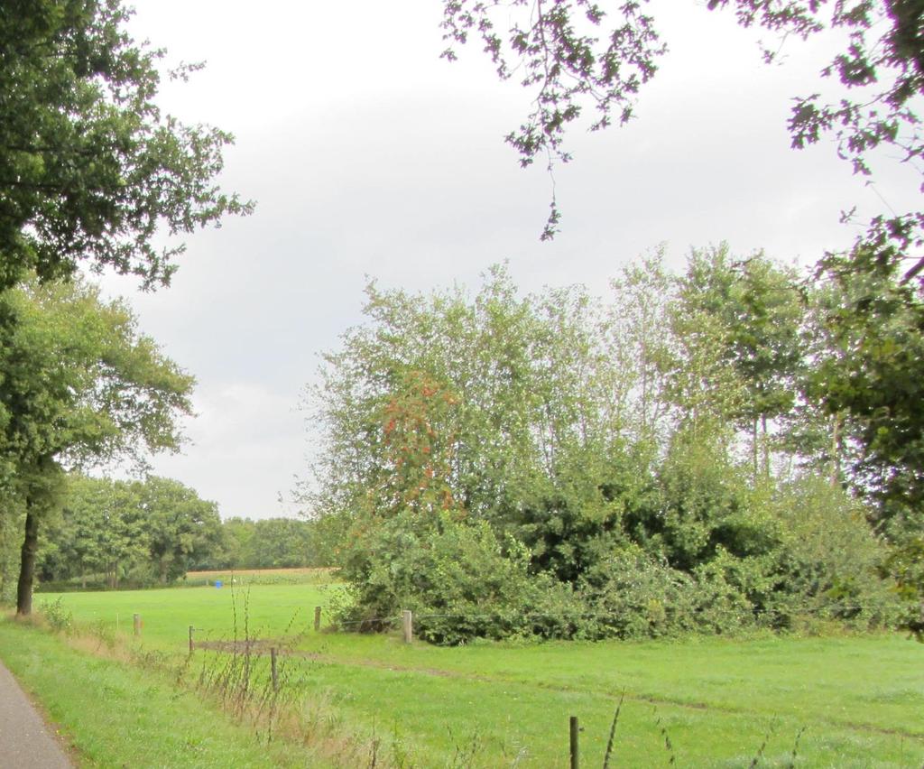 Landschappelijk casco Lochem Uitvoeringskader Praktijkdocument gebaseerd op het