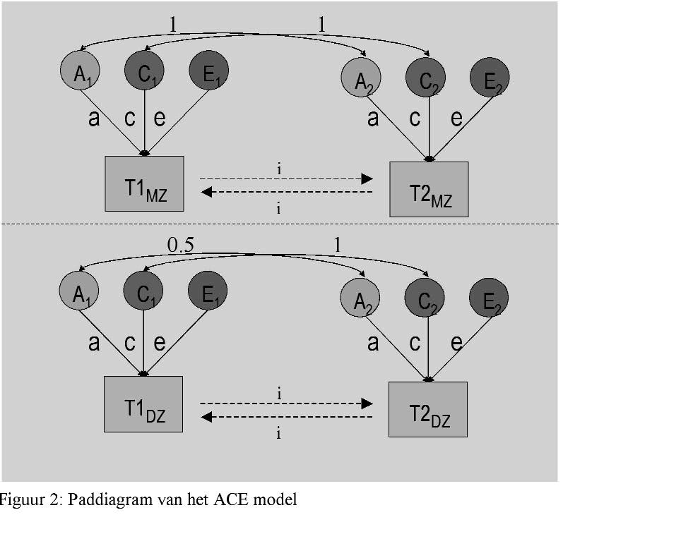 Figuur 1: Pad-diagram van het ACE model.