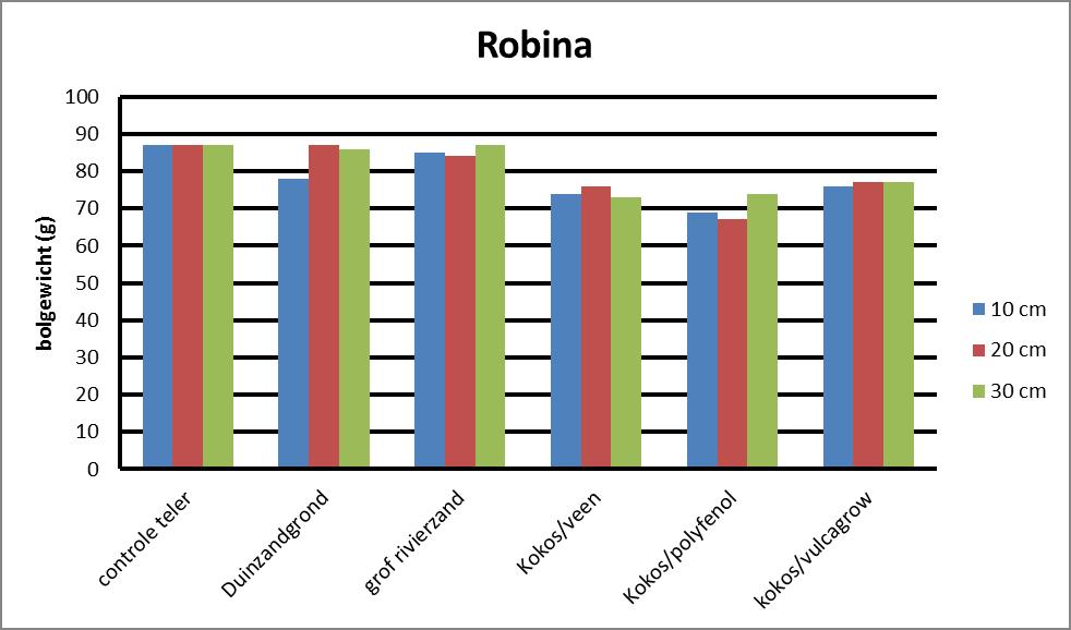 4.3 Opbrengst en kwaliteit OT hybride Robina 4.3.1 Opbrengst Op 7 november werden de bollen gerooid. Na rooien werd de opbrengst bepaald. Het oogstpercentage was gemiddeld over alle behandelingen 90%.