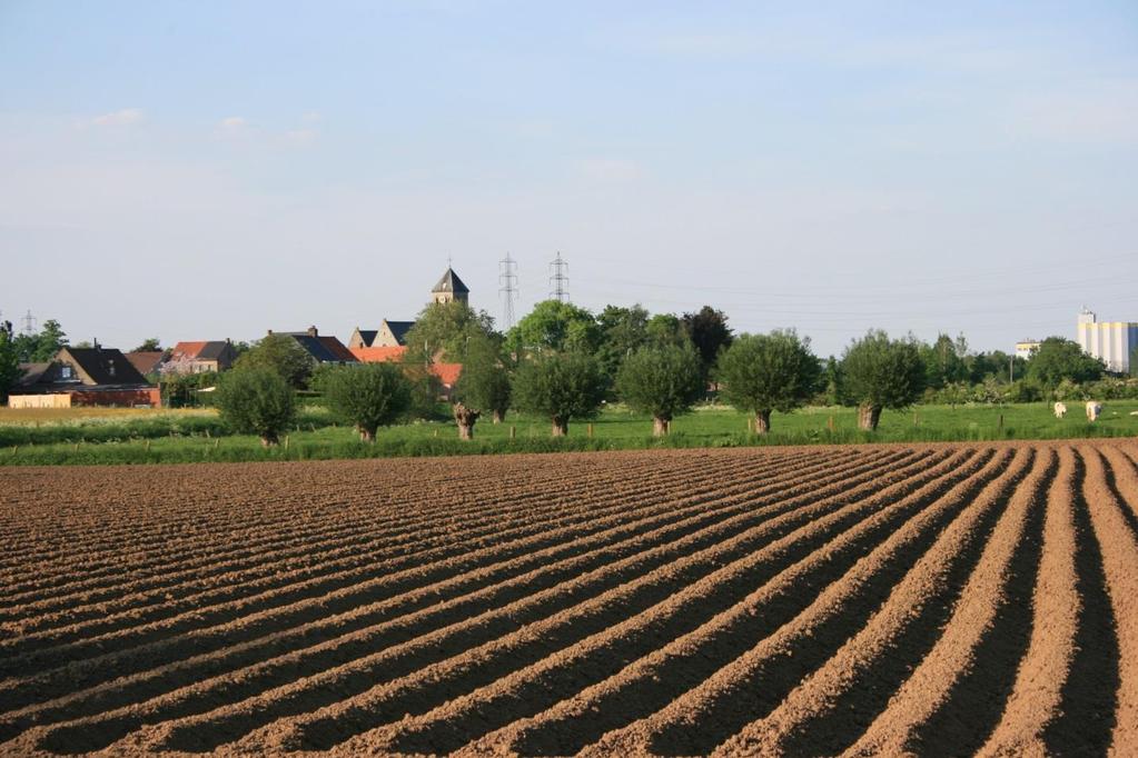 Brussel, 27 & 28 oktober 2016 Strategische Adviesraad voor Landbouw en Visserij Wetstraat