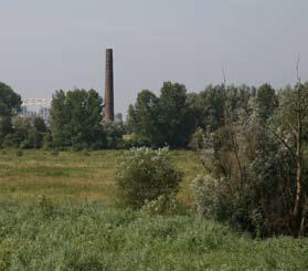 Vogelaars doen graag een rondje over de dijk, langs waterrijke plekken als Oude Waal en Bizonbaai. Wellicht wat minder bekend is dat er binnendijks in de Ooijpolder nog meer natuur is te zien.