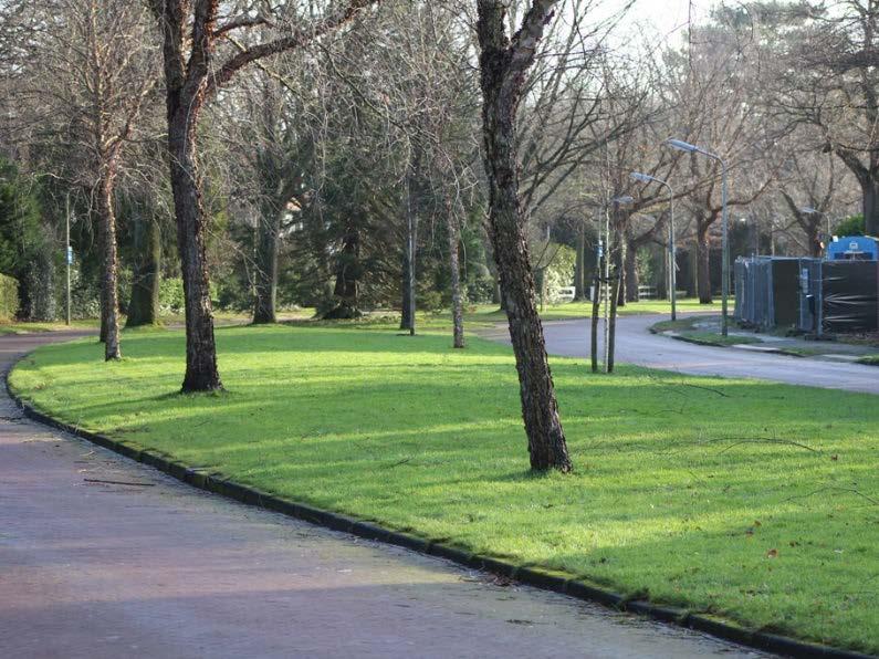 te zien dat de Koninginneweg een brede grasstrook heeft die is om