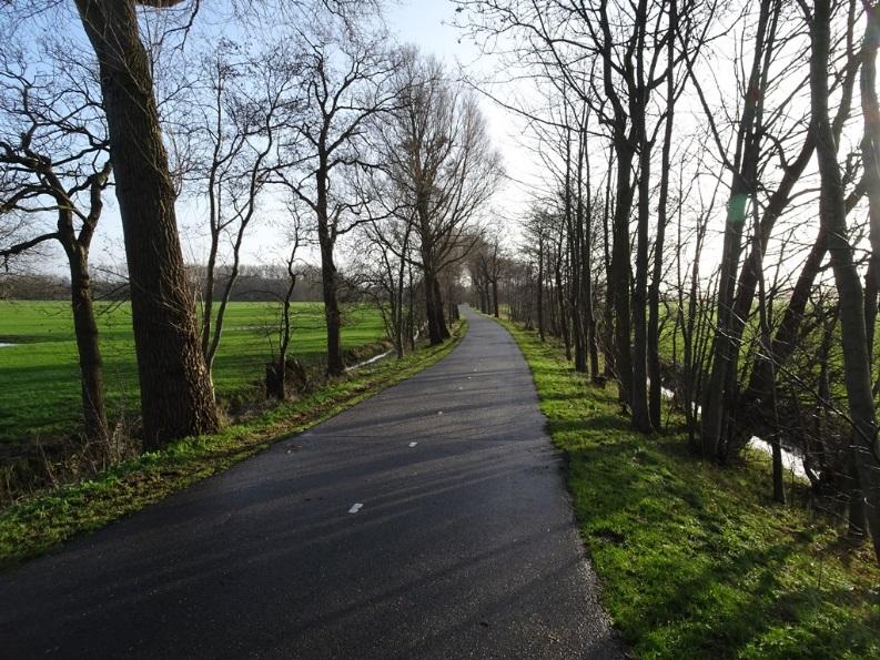 Wassenaar bereikt is een beeldbepalende polderweg met fraaie oude bomen aan weerszijde.