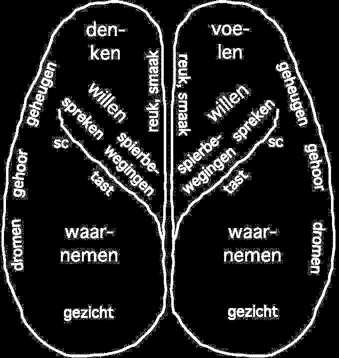 Geheugen en dementie Mensen met dementie leven in een permanent nu Verlies van ultrakrt geheugen Vergeten wat je van plan bent m te gaan