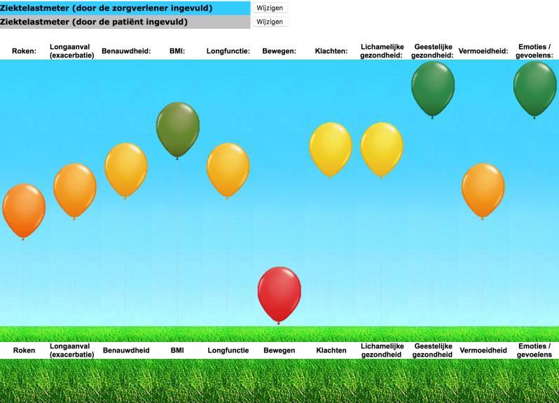 Hoe de tool te gebruiken Inventariseren Visualiseren Shared-decision making Informeren en inzichtelijk maken problematiek bij de patiënt Concretiseren Monitoren Hoe de tool te gebruiken Roken