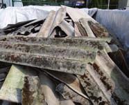 TIP September Asbest, thuis niet zo best... Asbest werd vroeger veel gebruikt, in de vorm van golfplaten, bloembakken, leien, afvoerbuizen, schoorsteenstukken,.